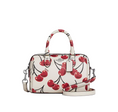 Load image into Gallery viewer, Coach Women's Mini Rowan Crossbody Bag With Cherry Print Silver/Chalk Multi
